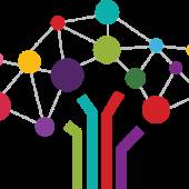 Impact Connect USA David Williams